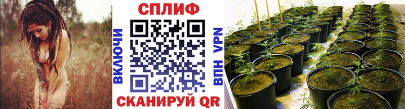 Купить наркотики Гуково Бошки Шишки  Кокаин  Меф 