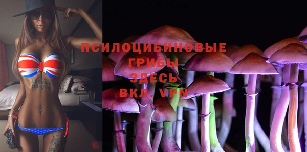 мет Алзамай