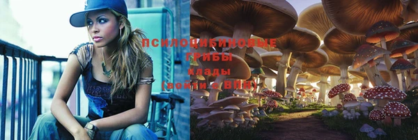 ECSTASY Алексеевка