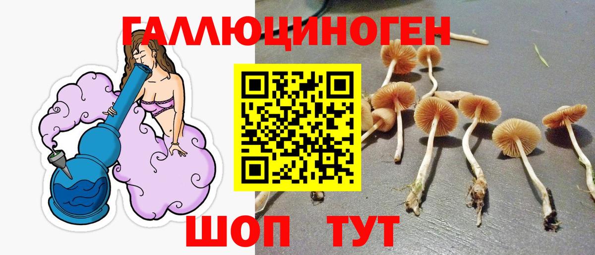 Галлюциногенные грибы Psilocybine cubensis Гуково