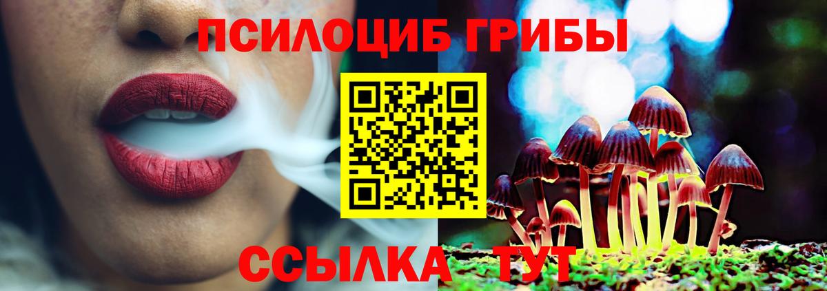 Гуково  Псилоцибиновые грибы мицелий  Вход с VPN  Псилоцибиновые грибы Magic Shrooms 