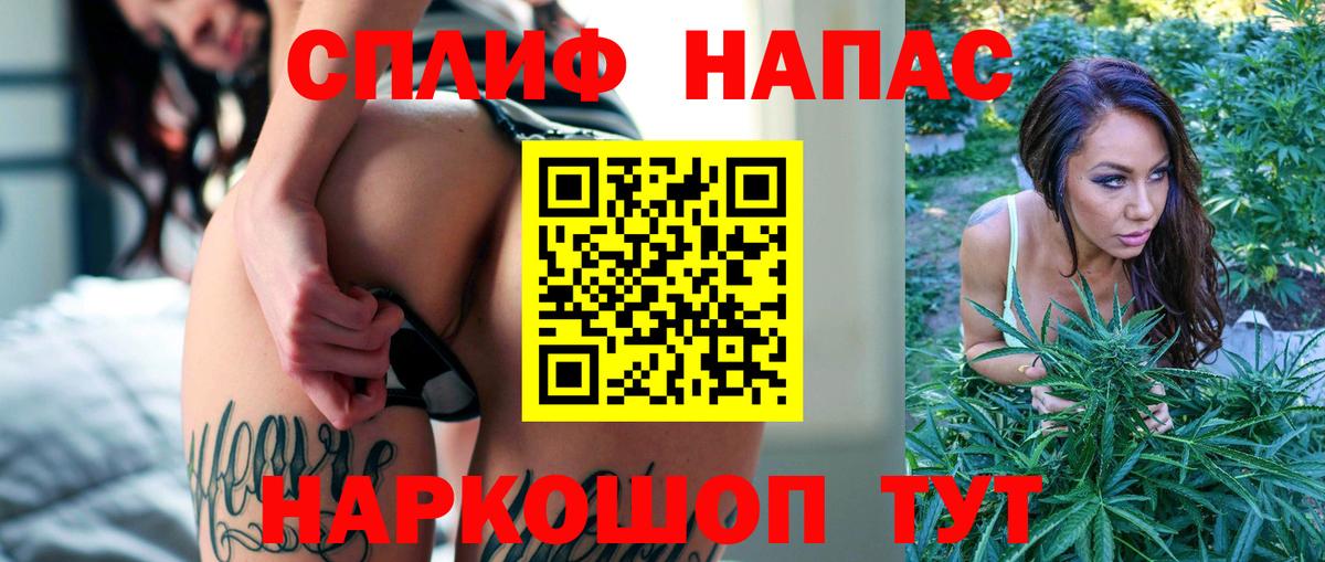 МАРИХУАНА сатива Гуково